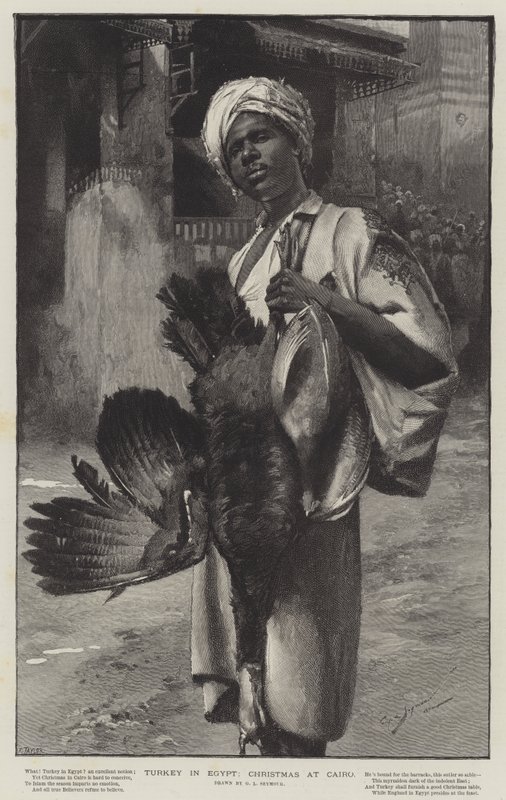 Türkei in Ägypten, Weihnachten in Kairo von George L. Seymour