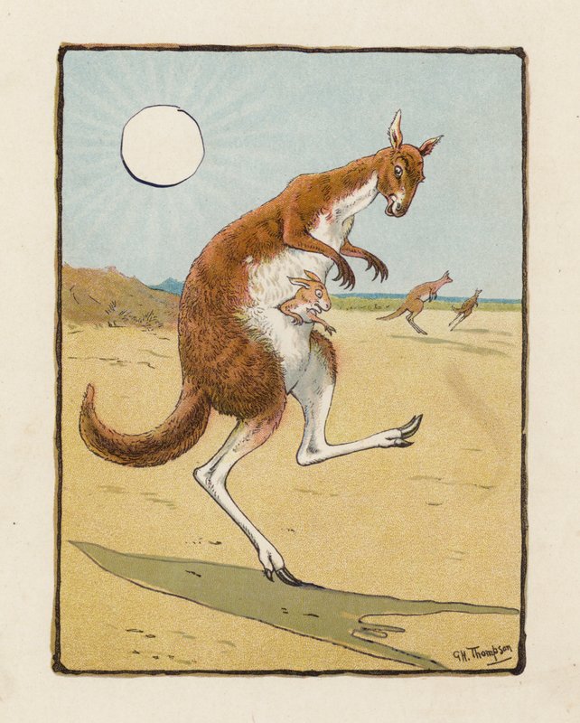 Das Känguru von George Henry Thompson