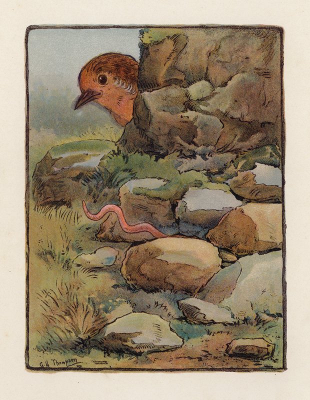 Der Wurm von George Henry Thompson