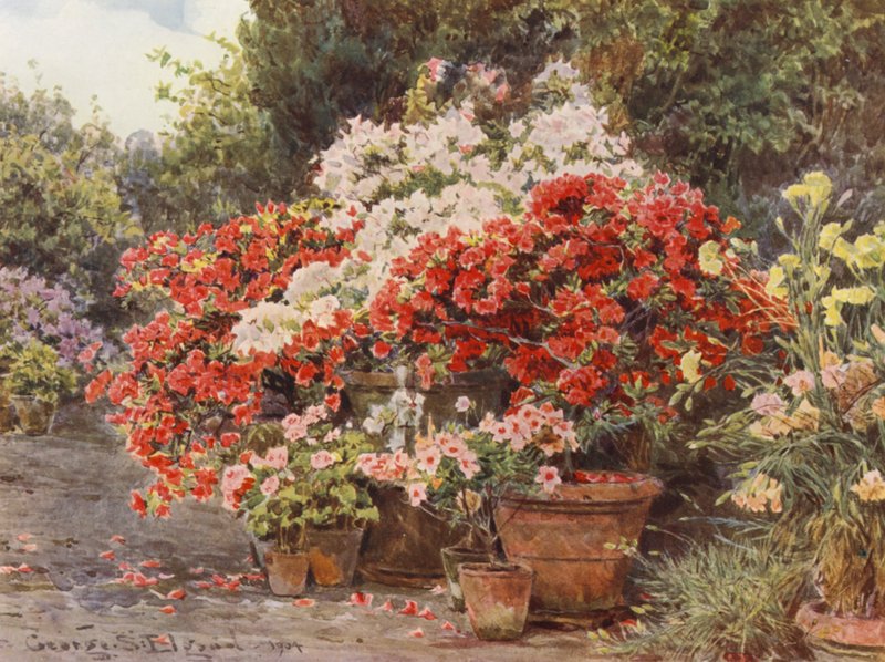 Italienische Gärten: Azaleen von George Samuel Elgood