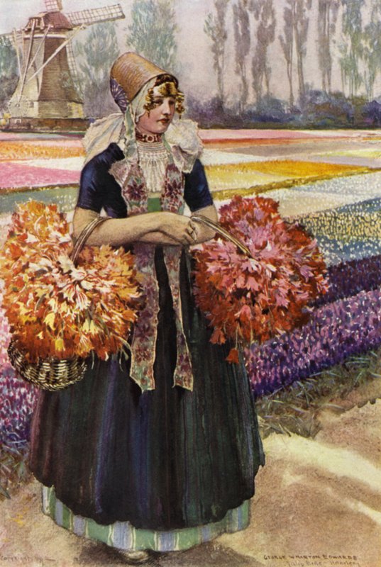 Ein Tulpenfeld von George Wharton Edwards