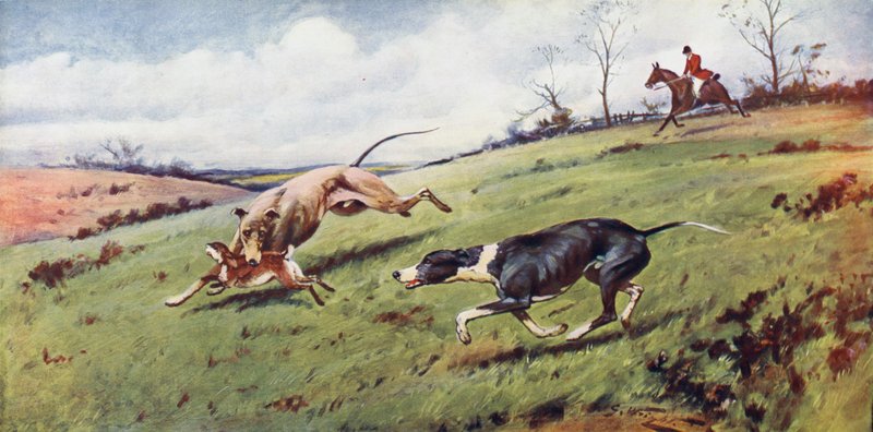 Hetzjagd von George Wright