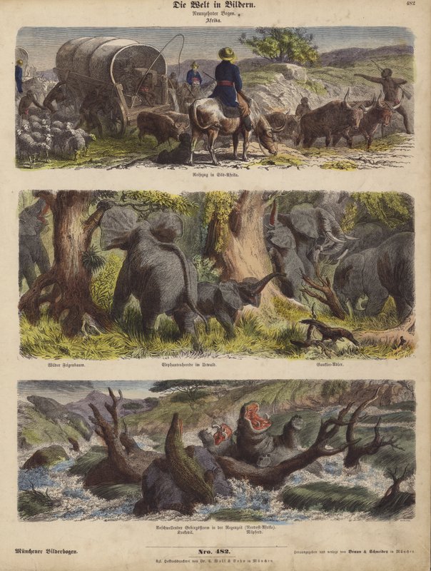 Afrika von German School