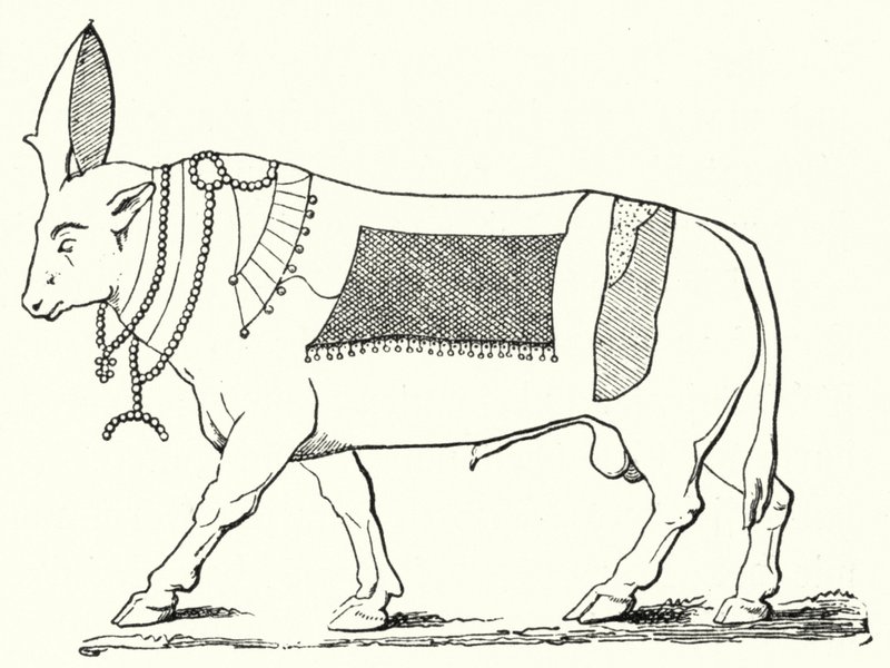 Apis, heiliger Stier des alten Ägypten von German School
