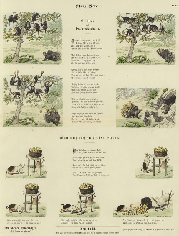 Kluge Tiere von German School