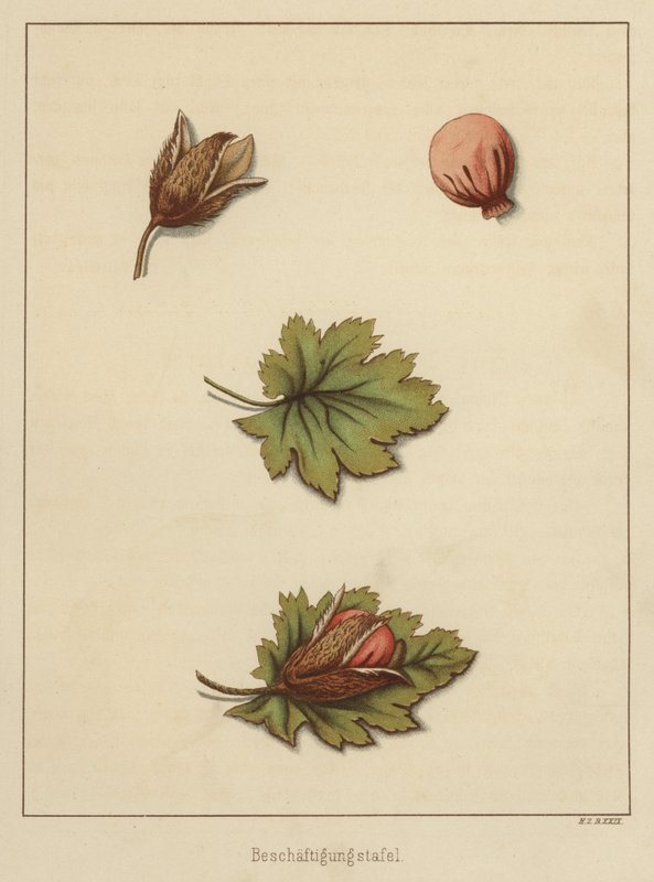 Handwerke von German School