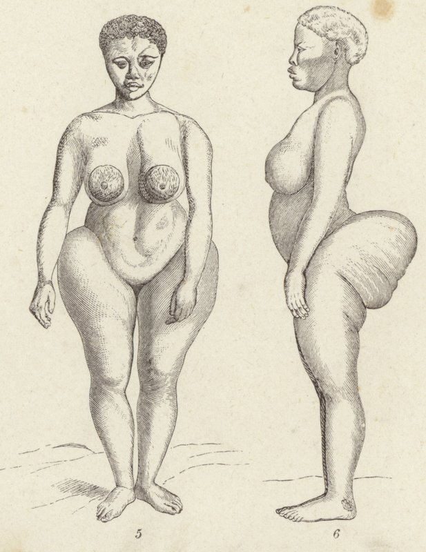 Hottentotten-Venus (Stich) von German School