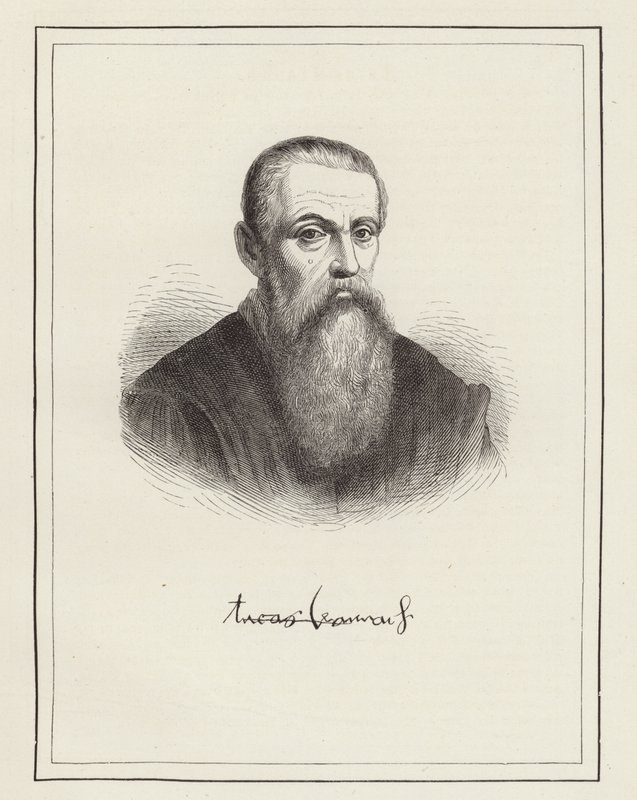 Lucas Cranach von German School