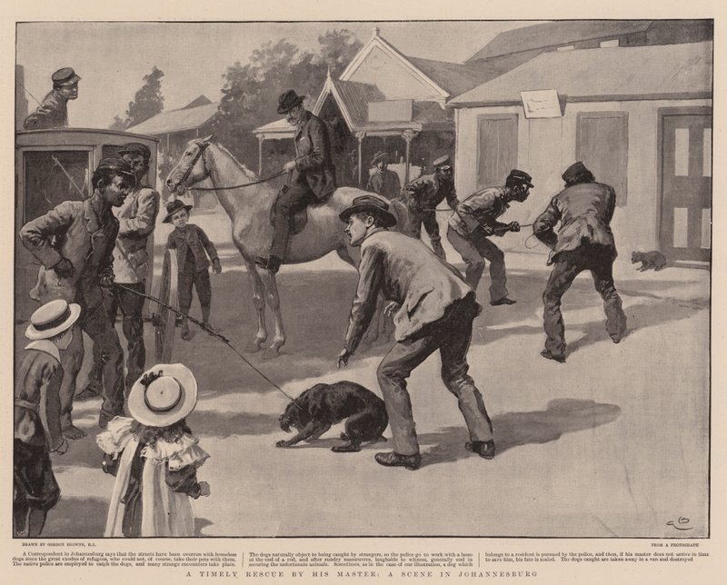 Eine rechtzeitige Rettung durch seinen Herrn, eine Szene in Johannesburg von Gordon Frederick Browne