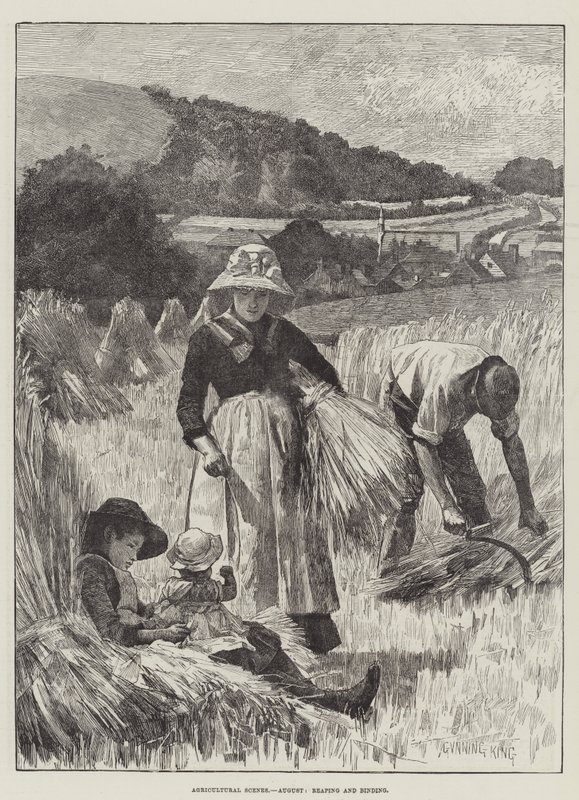 Landwirtschaftliche Szenen, August, Ernten und Binden von Gunning King