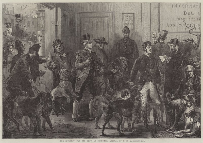 Die Internationale Hundeschau in Islington, Ankunft der Hunde von Harden Sidney Melville