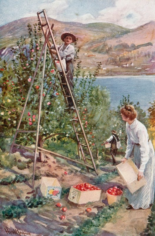 Eine Obstplantage in Nelson, British Columbia von Harold Copping