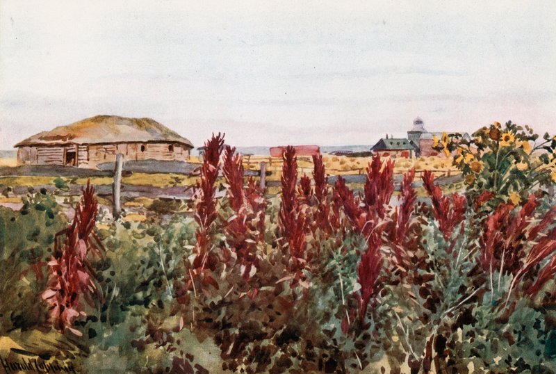 Ein Küchengarten in Veregin von Harold Copping