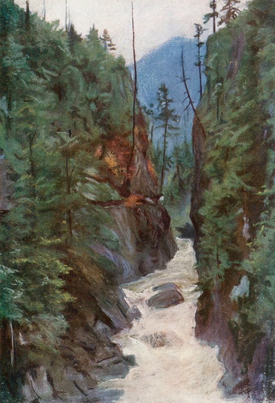 Capilano Canyon, nahe North Vancouver von Harold Copping