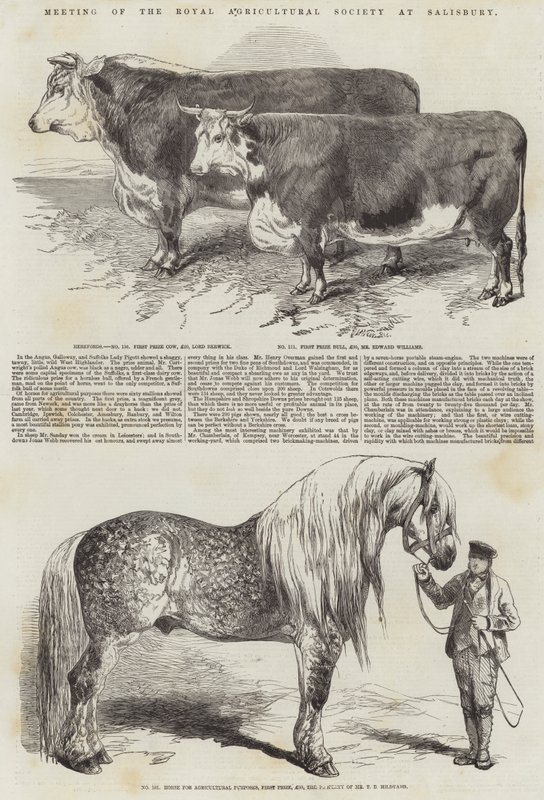Treffen der Königlichen Landwirtschaftsgesellschaft in Salisbury von Harrison William Weir