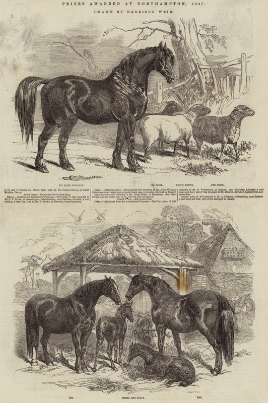 Preise verliehen in Northampton, 1847 von Harrison William Weir