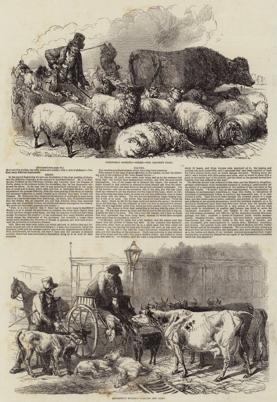 Smithfield-Markt von Harrison William Weir