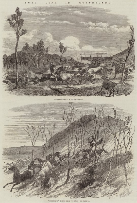 Leben im Busch in Queensland von Harrison William Weir