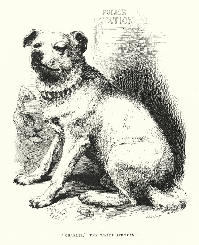 "Charlie," der weiße Sergeant von Harrison William Weir