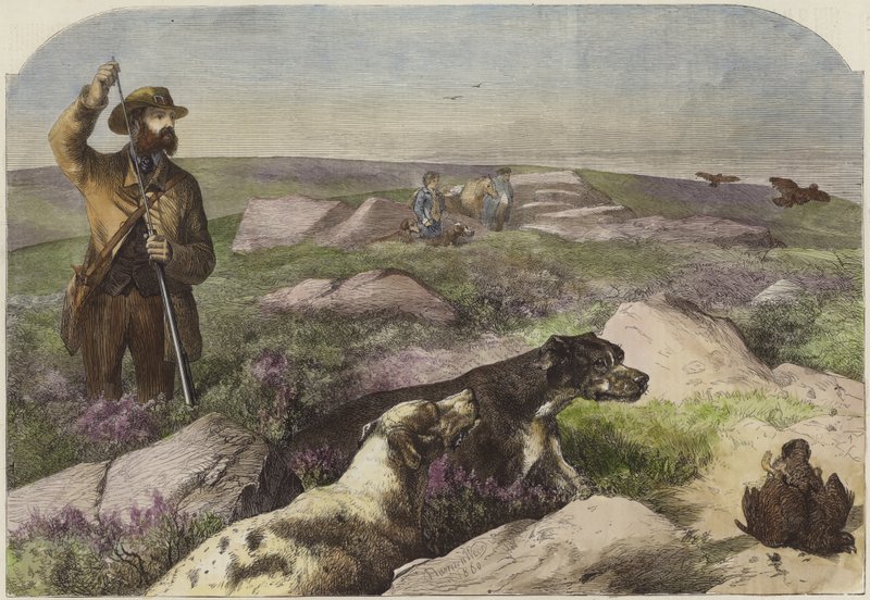 Moorhuhnjagd von Harrison William Weir