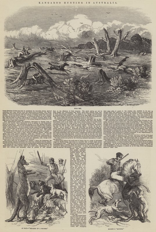 Känguru-Jagd in Australien von Harrison William Weir