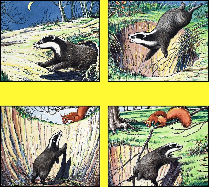 Kleines rotes Eichhörnchen von Harry M. Pettit