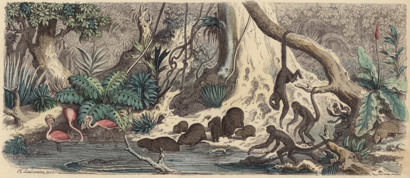 Flussufer in Guayana von Heinrich Leutemann