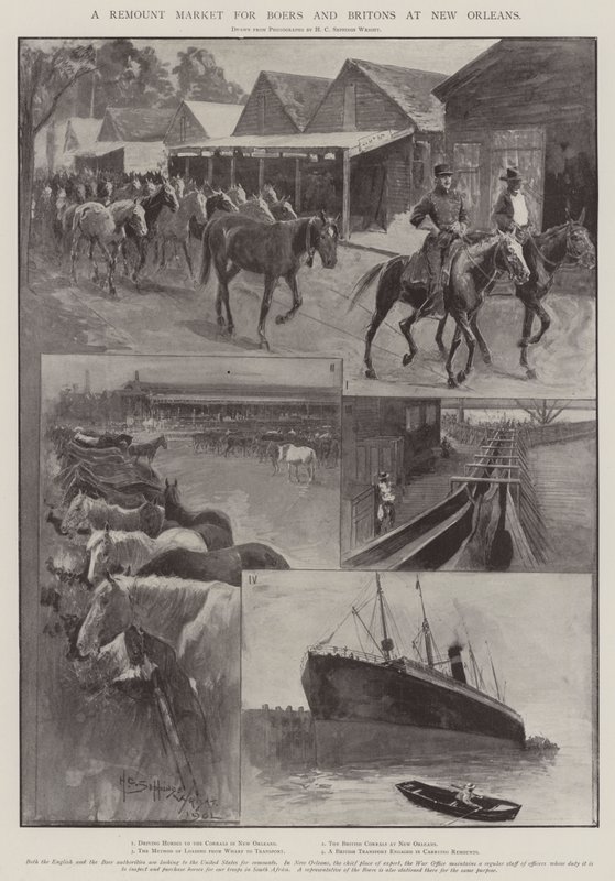 Ein Remount-Markt für Buren und Briten in New Orleans von Henry Charles Seppings Wright