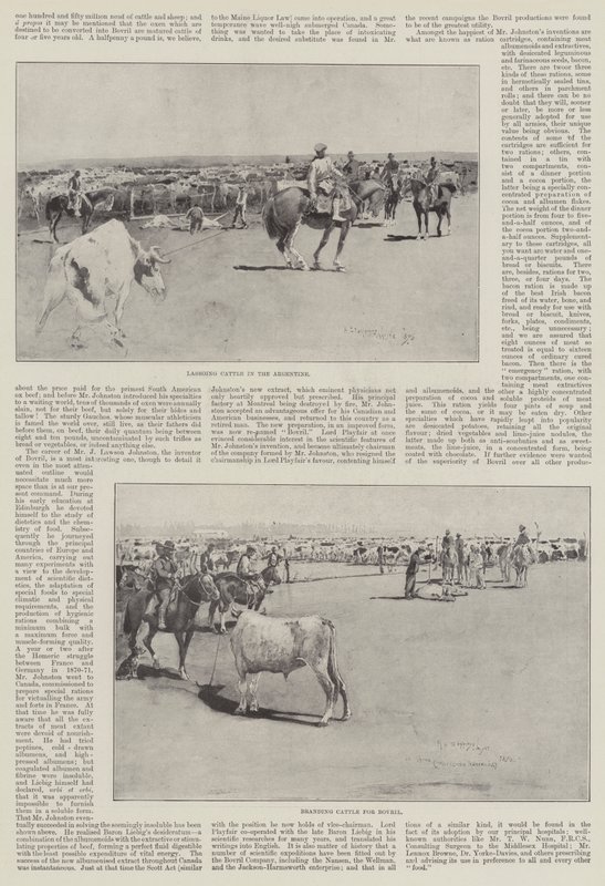 Rinder in Argentinien von Henry Charles Seppings Wright