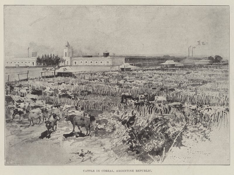 Rinder im Corral, Argentinische Republik von Henry Charles Seppings Wright