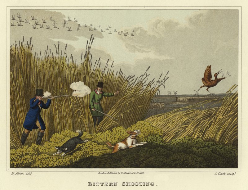 Rohrdommeljagd (Chromolithografie) von Henry Thomas Alken