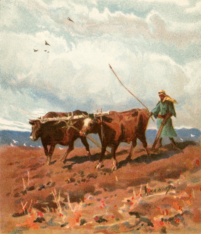 Pflügen von Henry Andrew Harper