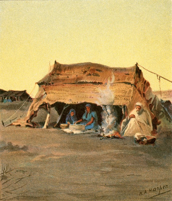 Zeltleben von Henry Andrew Harper