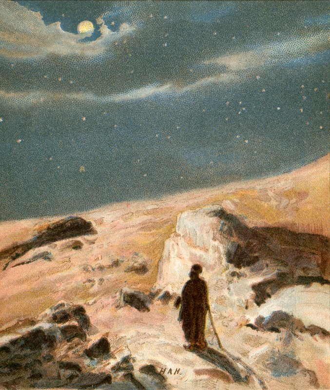 Der Ruhm der Sterne von Henry Andrew Harper