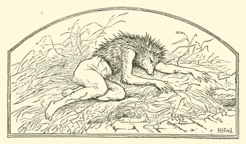 Jack mein Igel (Gravur) von Henry Justice Ford