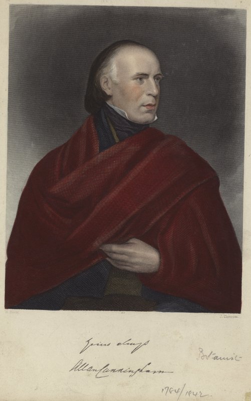 Allan Cunningham von Henry Room