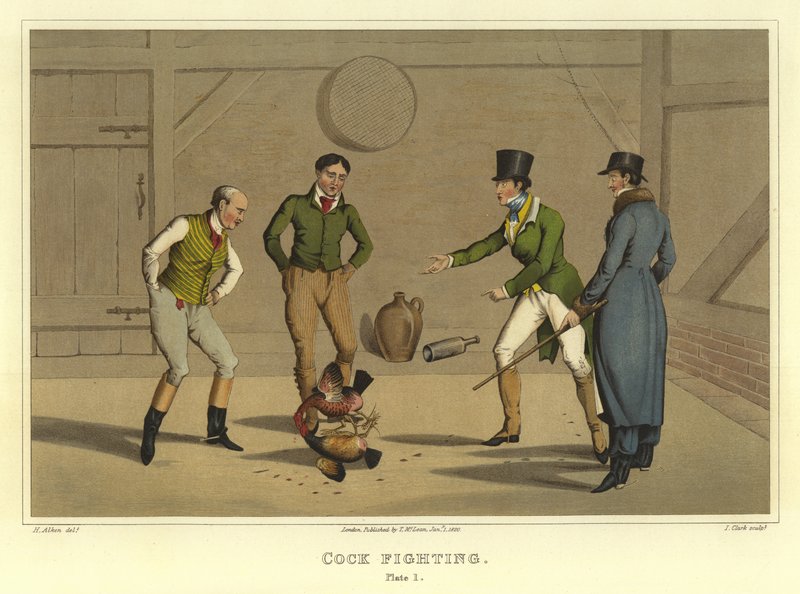 Hahnenkampf (Chromolitho) von Henry Thomas Alken