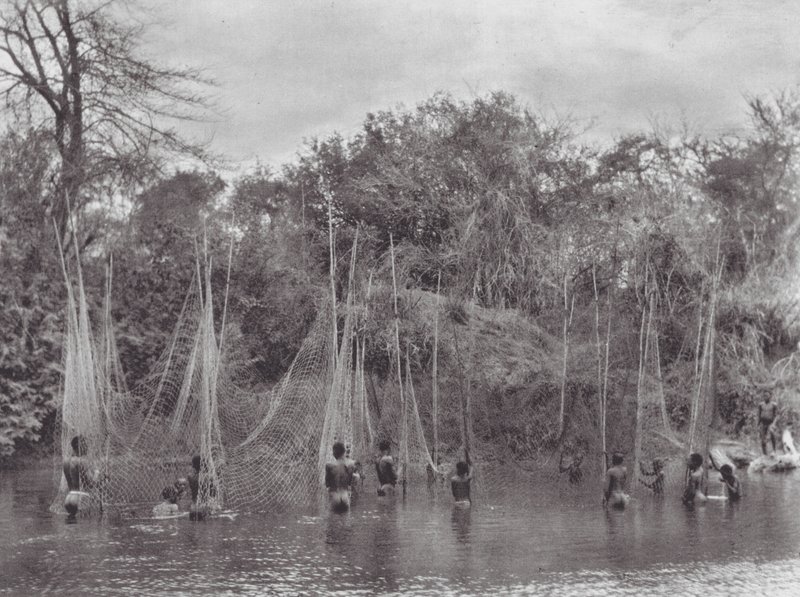 Afrika: Morus-Fischen von Hugo Adolf Bernatzik