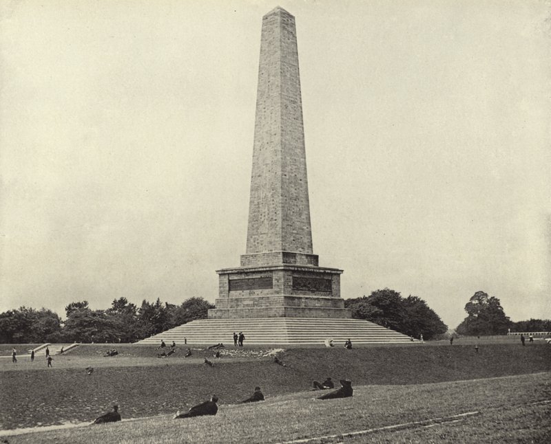 Das Wellington-Denkmal, Phoenix Park von Irish Photographer