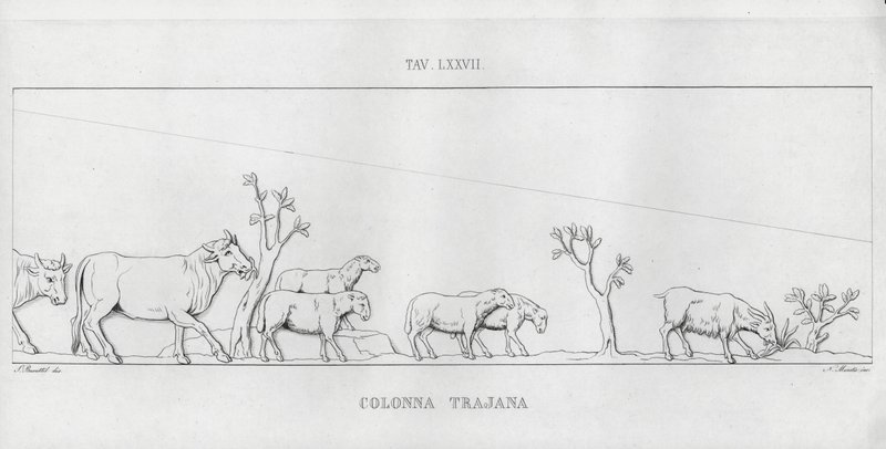 La Colonna Trajana, Trajanssäule von Italian School
