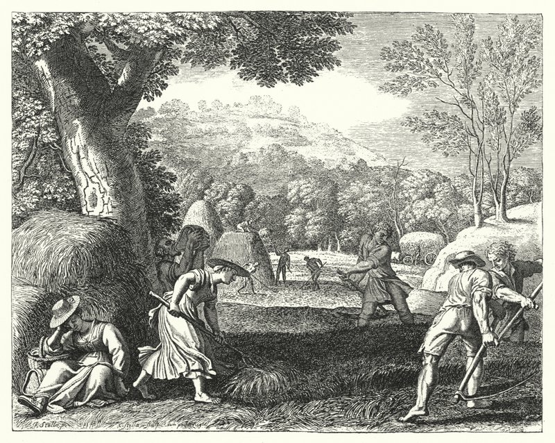 Ernteszene von Jacques Stella