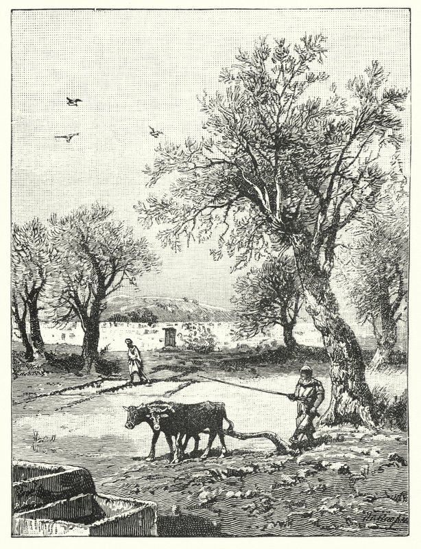 Pflügen in einem Weinberg von James (after) Clark