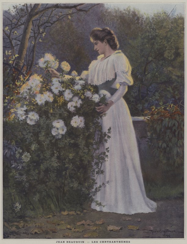 Die Chrysanthemen von Jean Beauduin