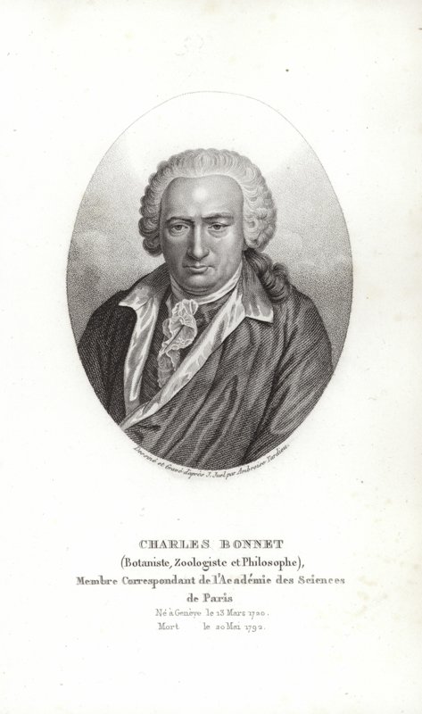 Charles Bonnet von Jens Juel