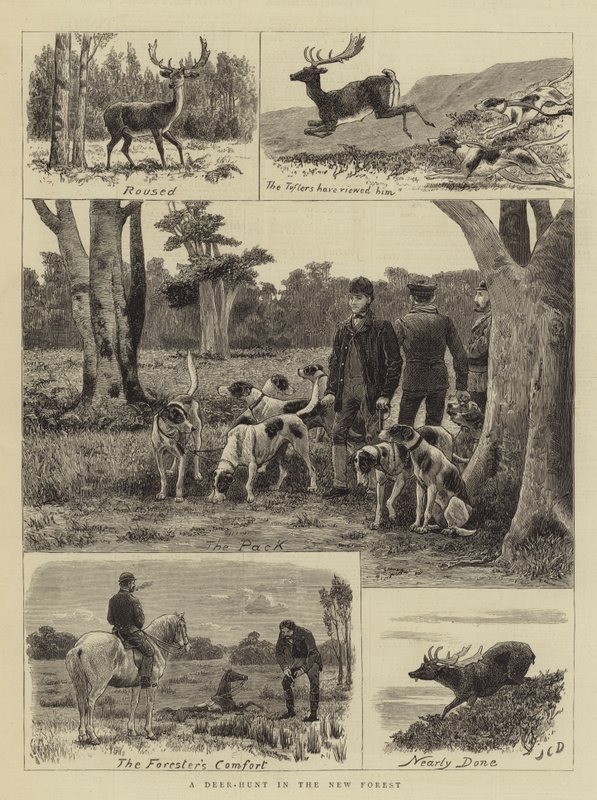 Eine Hirschjagd im New Forest von John Charles Dollman