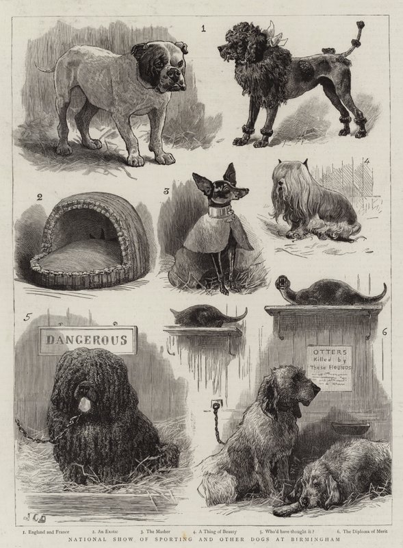 Nationale Ausstellung von Sport- und anderen Hunden in Birmingham von John Charles Dollman