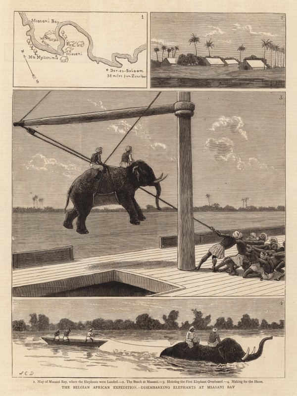 Die belgische Afrika-Expedition, Ausschiffung von Elefanten in der Msasani-Bucht von John Charles Dollman