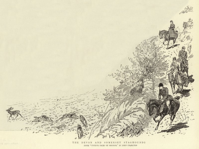 Die Devon und Somerset Hirschhunde von John Charlton