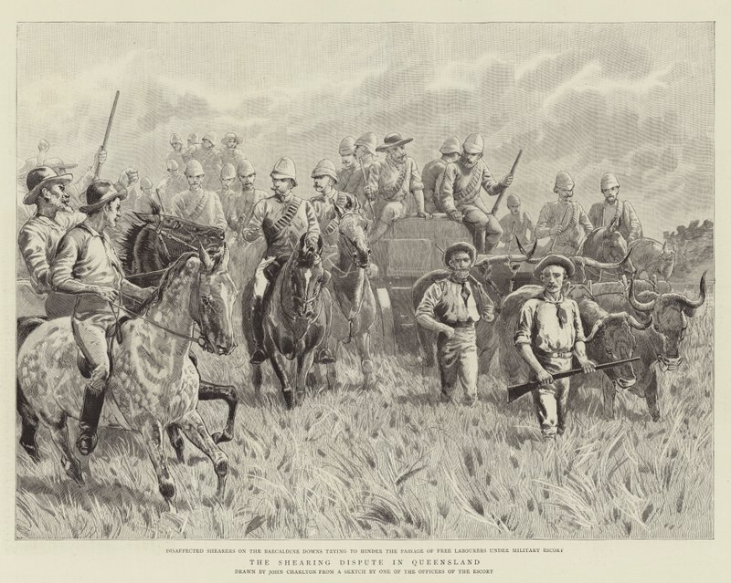 Der Schurstreit in Queensland von John Charlton