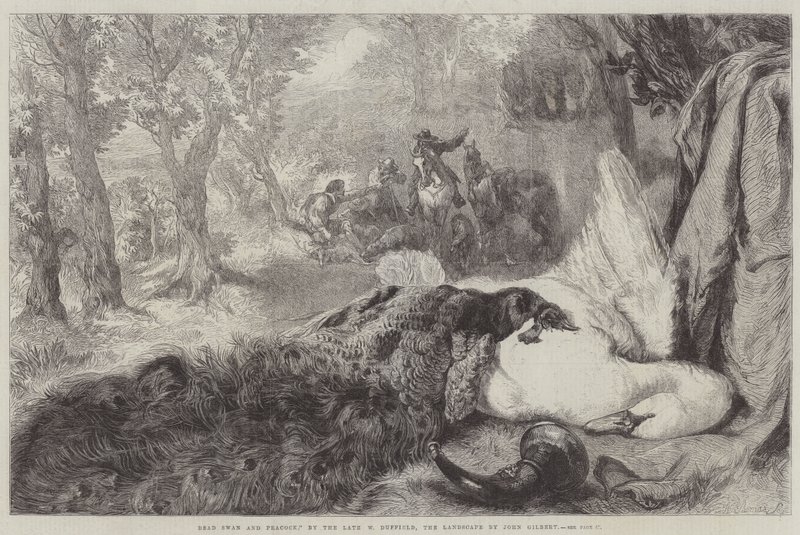 Toter Schwan und Pfau von John Gilbert